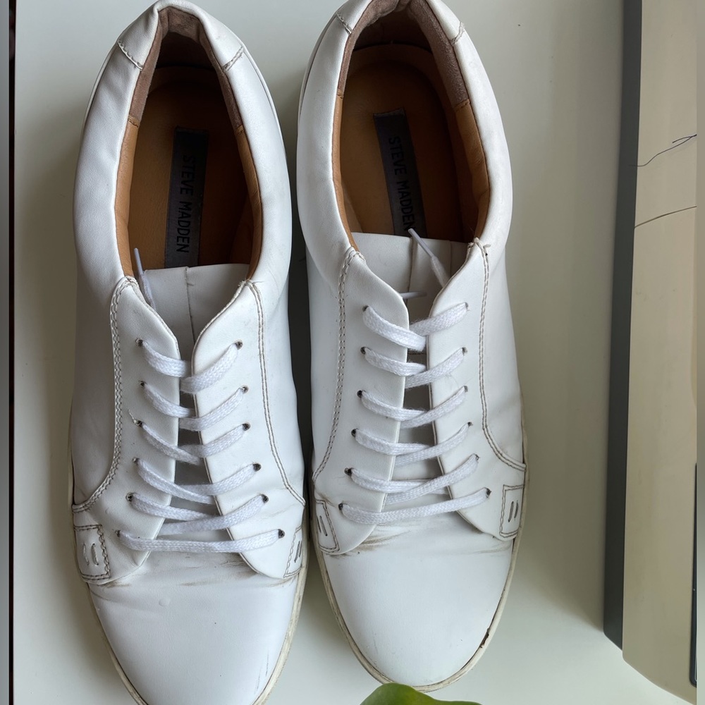 Steve Madden Sneakers
